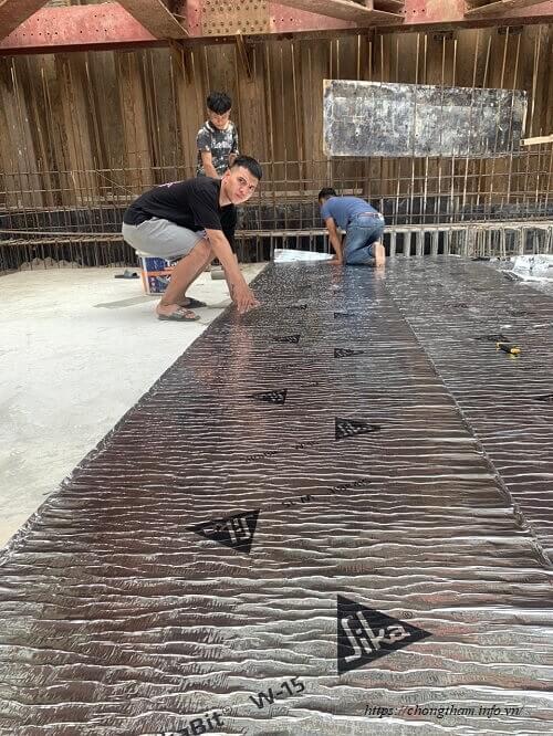 thi công SikaBit W 15