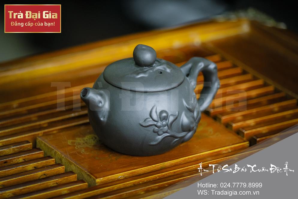 ẤM TỬ SA BÁO XUÂN ĐỘC ẨM