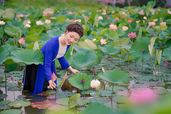 chụp ảnh áo dài sen đẹp tại Hà Nội