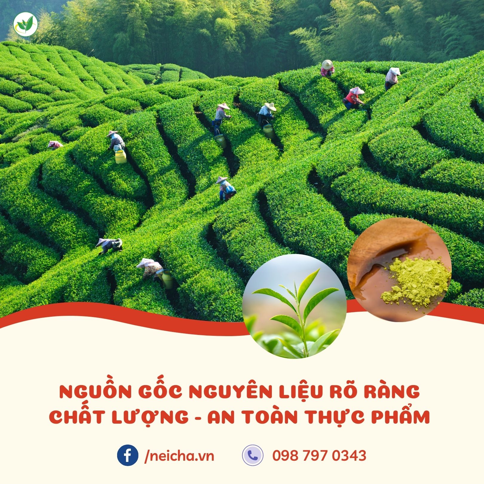 tim-dai-ly-npp-kinh-doanh-nguyen-lieu-pha-che-chinh-hang