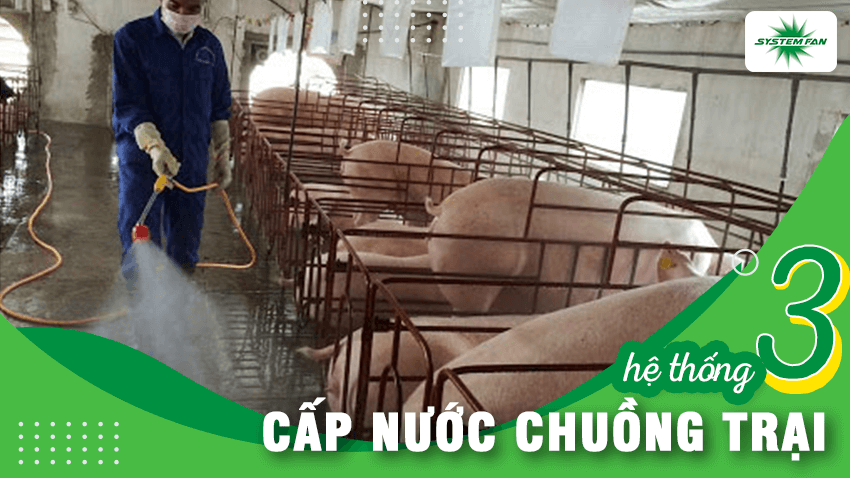 Hệ thống cấp nước