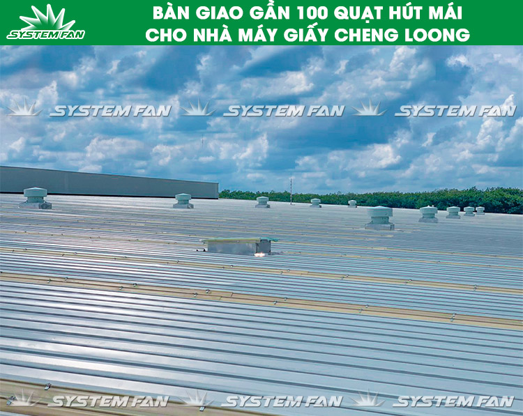 Bàn giao quạt nhà máy Cheng Loong 2 100 quạt nhà máy Cheng Loong (Hình 2)