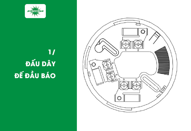 Đấu dây đế đầu báo Bước 1- Đấu dây đế đầu báo