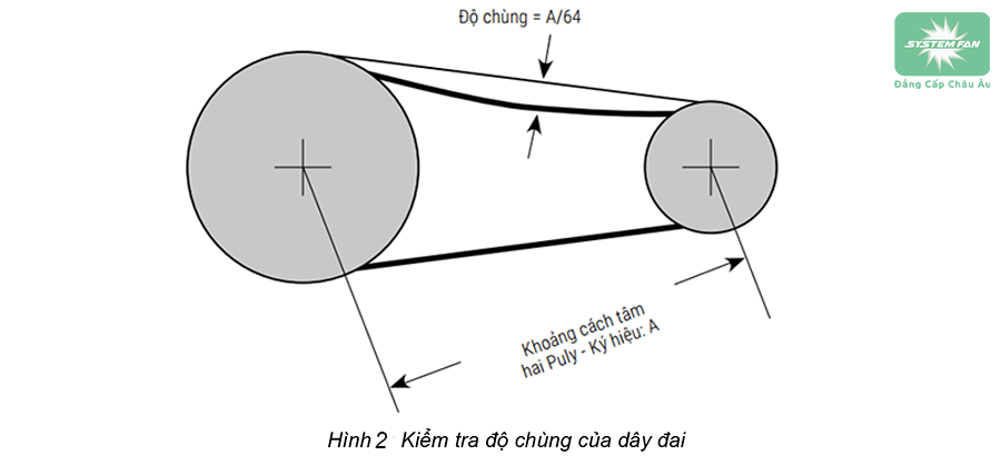 Hình 2: Kiểm tra độ chùng của dây đai