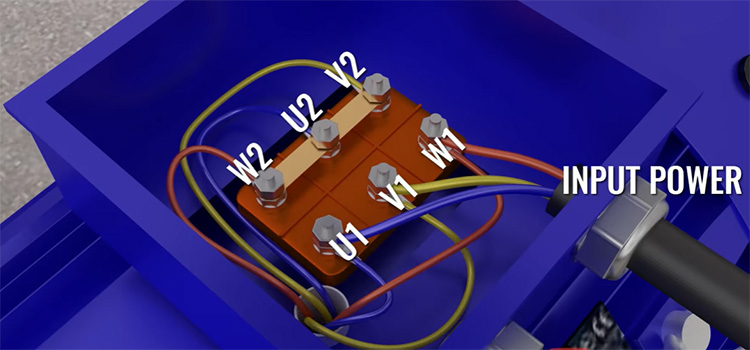 Mạch đấu kiểu sao