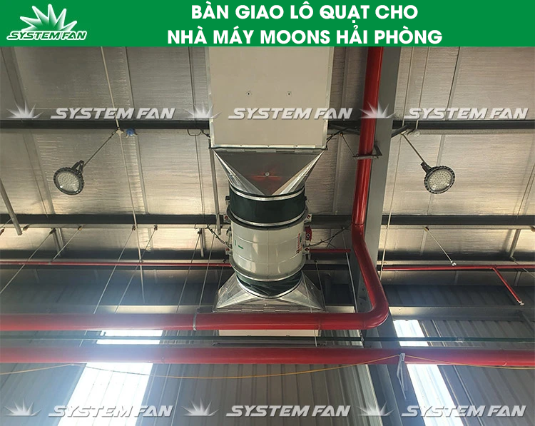 Bàn giao quạt nhà máy Moons (Hình 5) Bàn giao lô quạt cho nhà máy Moons (Hình 5)