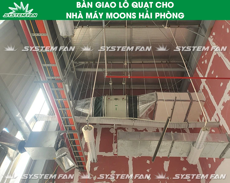 Bàn giao quạt nhà máy Moons (Hình 6) Bàn giao lô quạt cho nhà máy Moons (Hình 6)