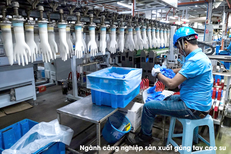 ung dung cao su trong cac nganh cong nghiep ung dung cao su