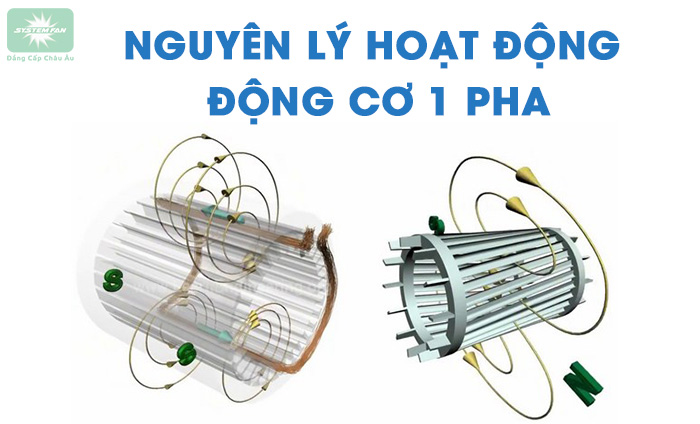 Nguyên lý hoạt động