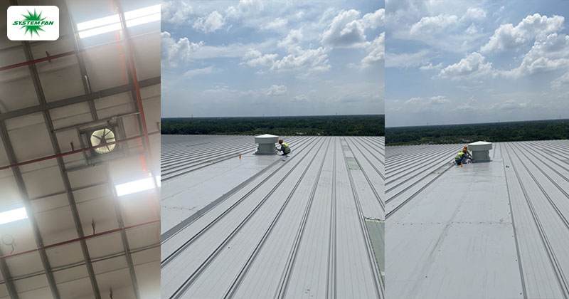 quạt hướng trục hút mái nhà xưởng