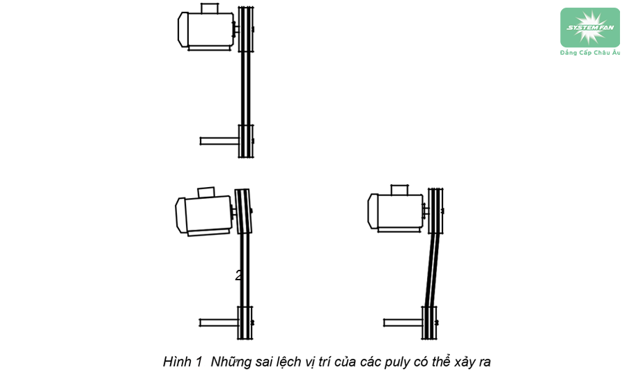 Những sai lệch vị trí của Puly