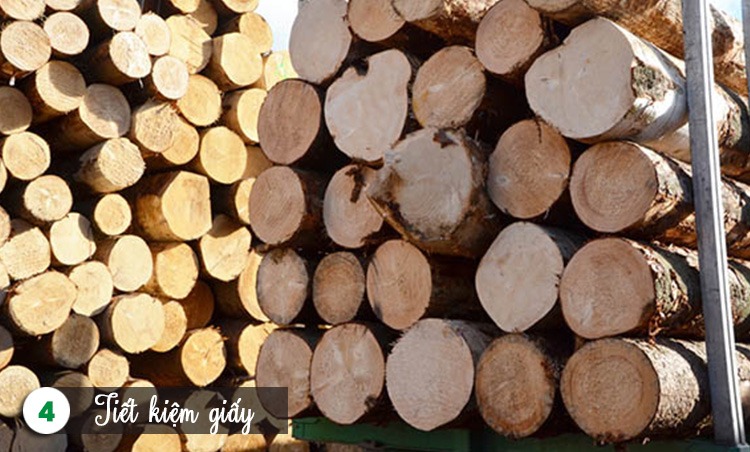 Tiết kiệm giấy Tiết kiệm giấy