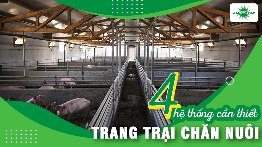 4 hệ thống cần có cho trang trại chăn nuôi