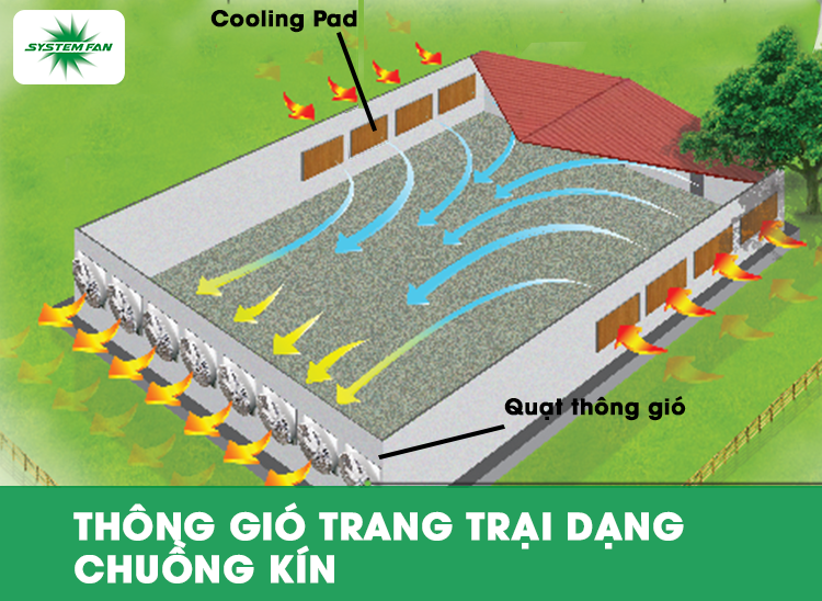 Thông gió trang trại chuồng kín