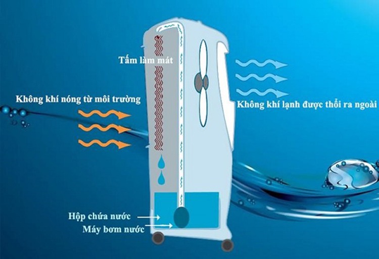 Lọc vi khuẩn, bụi bẩn Lọc vi khuẩn, bụi bẩn