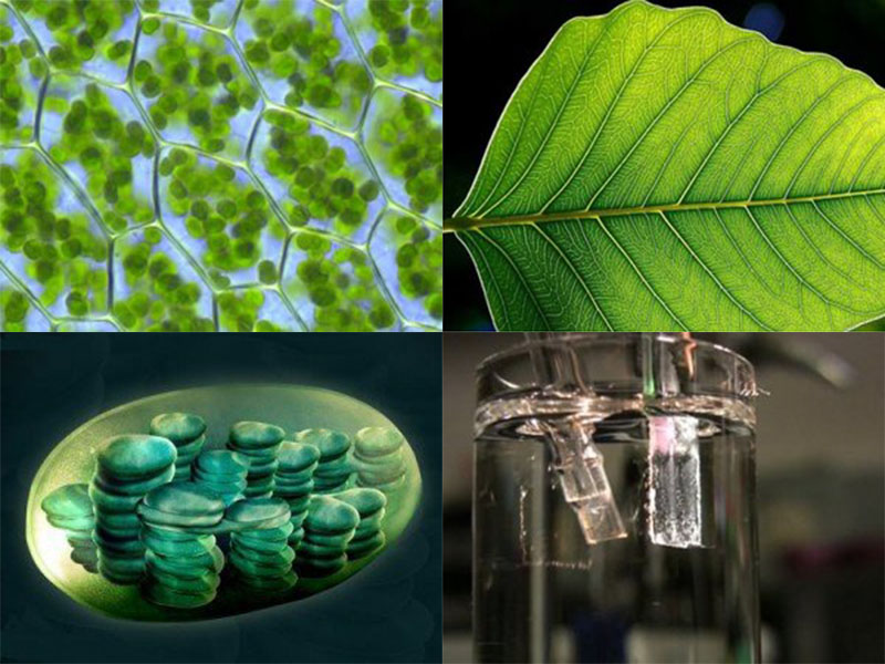 Cấu tạo pin mặt trời - ảnh 7