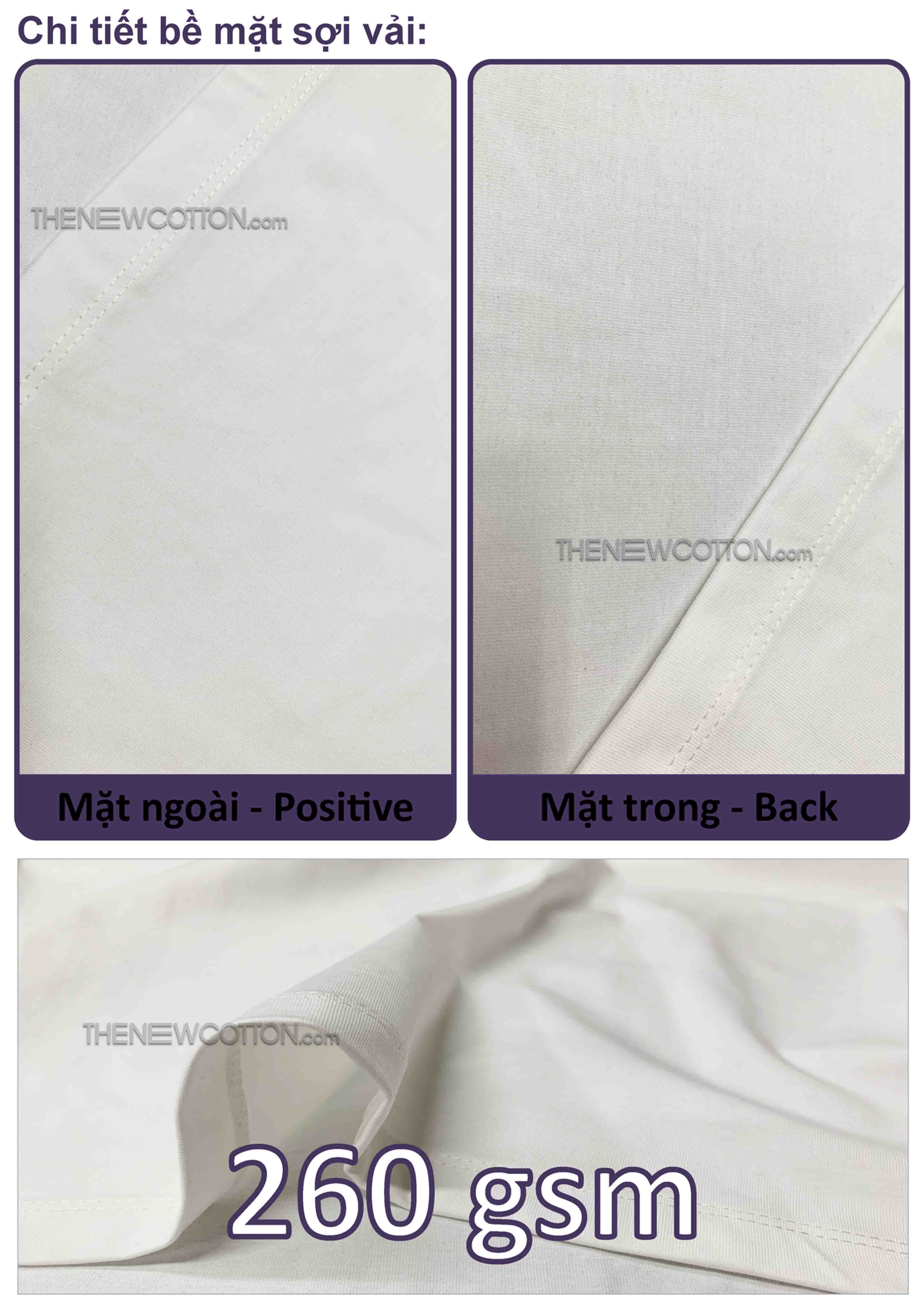 Chuyên Sỉ Áo Thun Phôi Trơn Local Brand x Vải Thun Cao Cấp Cool-Tech Cotton (Nhật Bản) | Xưởng May Áo Thun Theo Yêu Cầu - TheNewCotton.com
