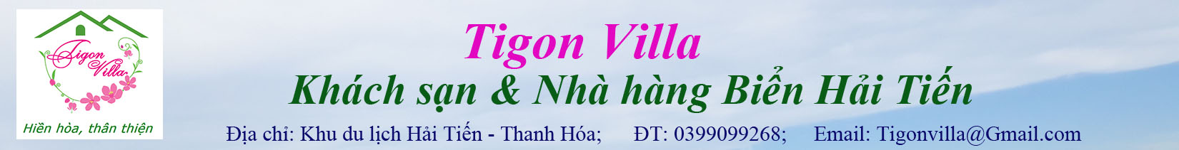 logo Tigon Villa