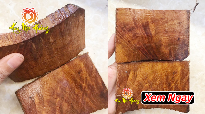 cách nhận biết gỗ sưa đỏ