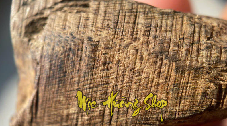 Gỗ trầm hương Philippines cận cảnh sớ gỗ