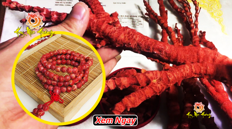Vòng san hô đỏ có tốt không?
