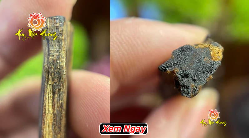 Kỳ nam là gì? Thanh kỳ nam là gì?