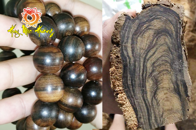 Vòng gỗ bách xanh chìm nước