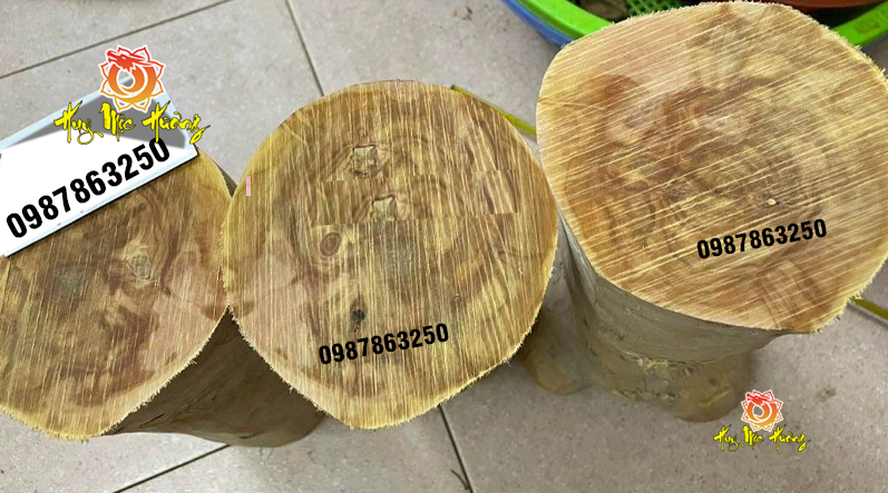 Gỗ đàn hương ấn độ là gì?