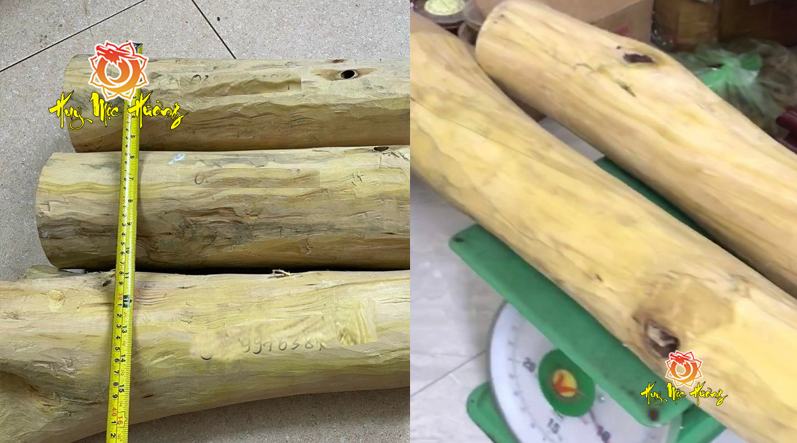 Gỗ đàn hương ấn độ giá bao nhiêu?