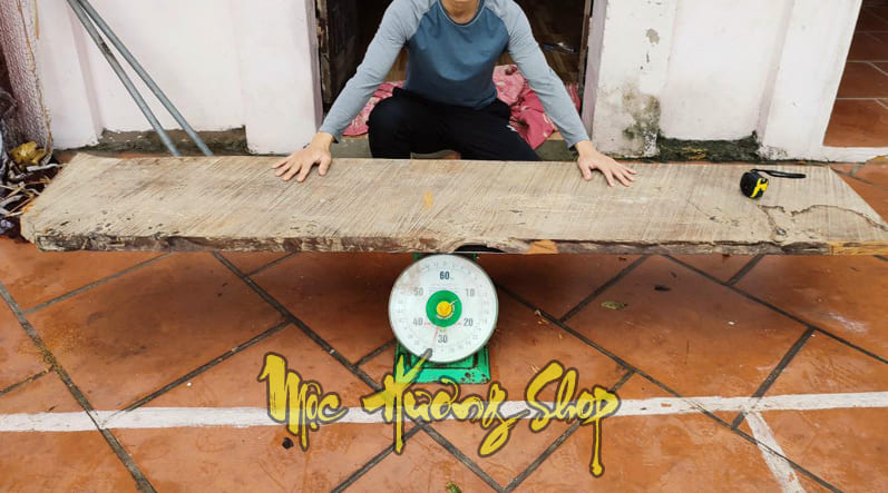 Tấm gỗ hoàng đàn tuyết siêu khủng còn sót lại