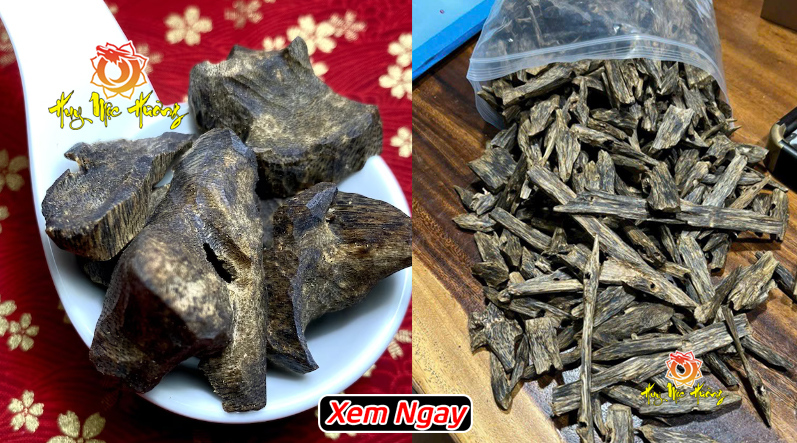 Gỗ kỳ hải nam có giá bao nhiêu?