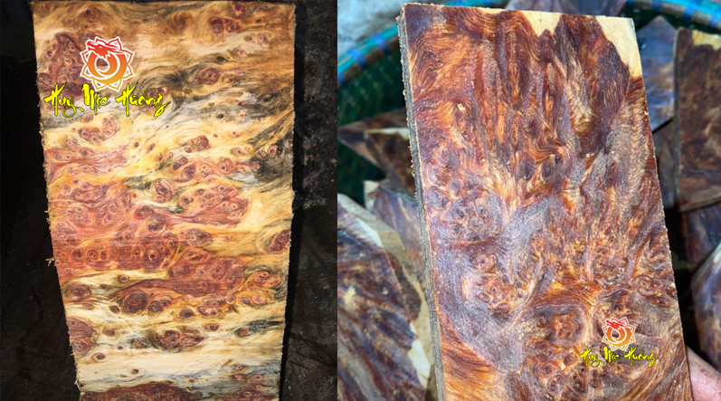 gỗ nu huyết long - gỗ nu hoa huyết long đẹp
