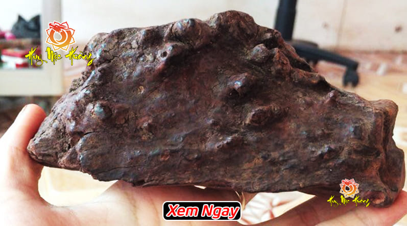 Gỗ sưa đen có tốt không? giá bao nhiêu?