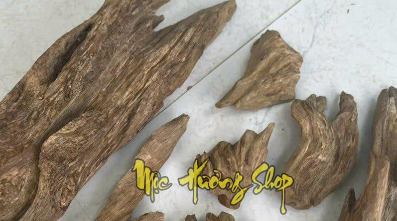 Nguồn gốc gỗ trầm hương Thái Lan