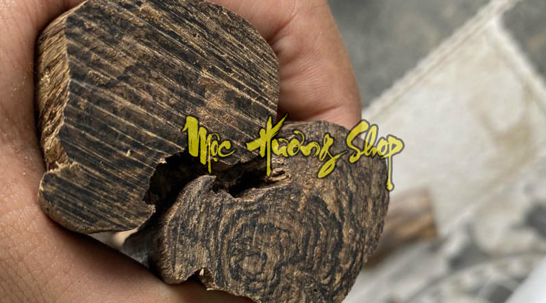 gỗ trầm hương chìm nước và cách nhận biết