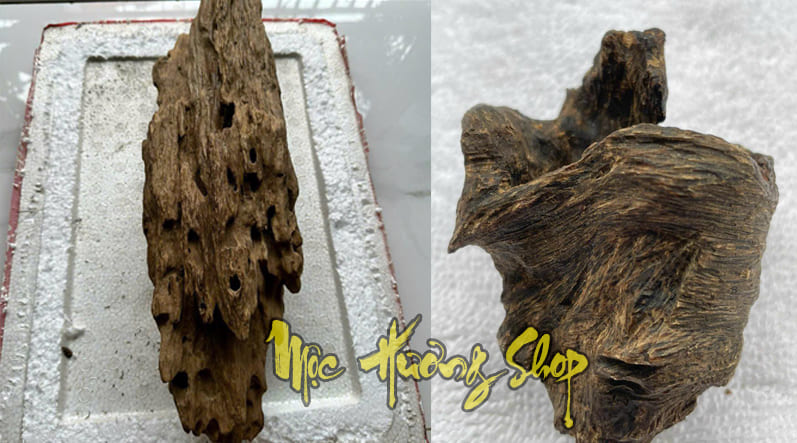 Gỗ trầm hương rục chìm nước việt nam