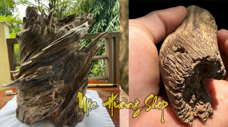 gỗ trầm hương việt nam giá bao nhieu?