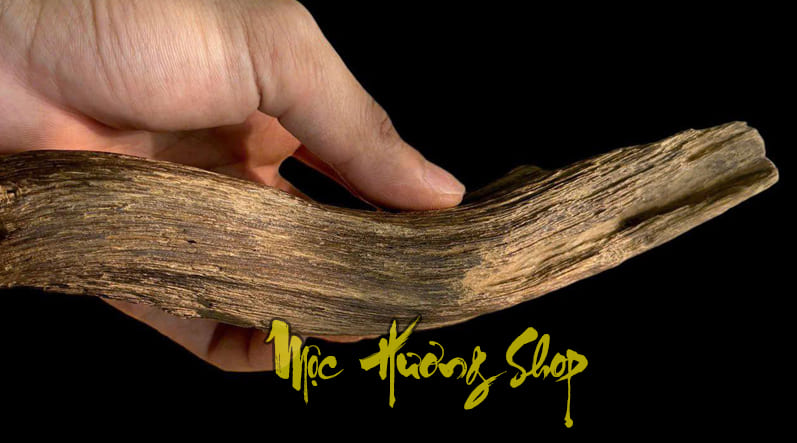 gỗ trầm hương việt nam chuẩn núi rừng