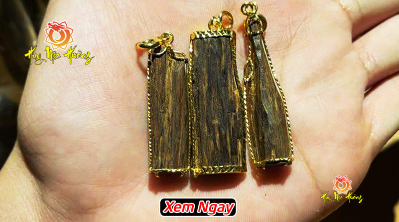 Hoàng kỳ nam là gì? cách nhận biết kỳ nam