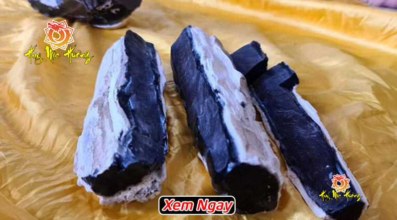 kỳ nam hóa thạch có thật không?