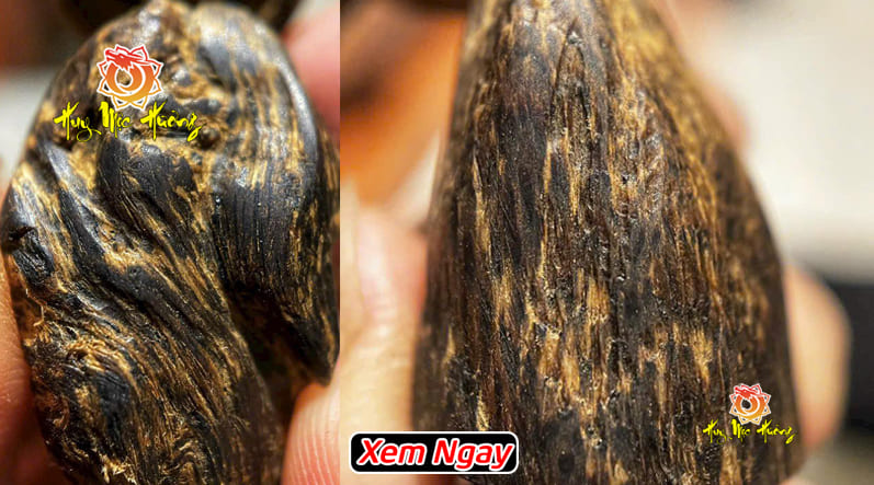 Kỳ nam là gì? gỗ trầm hương kỳ nam