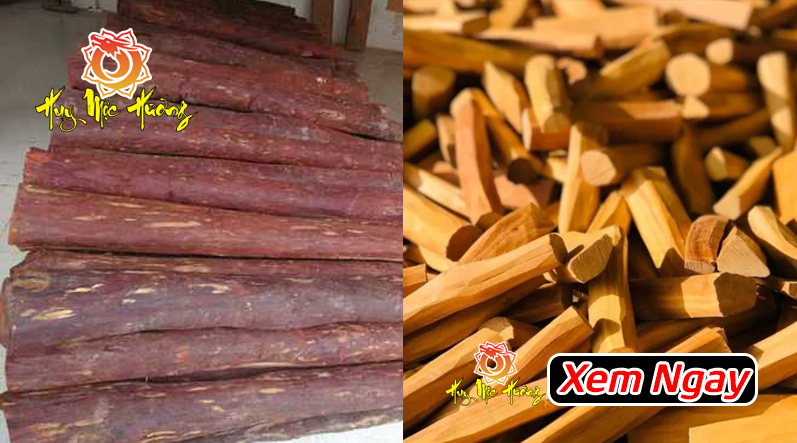 phân biệt gỗ đàn hương trắng và gỗ tử đàn