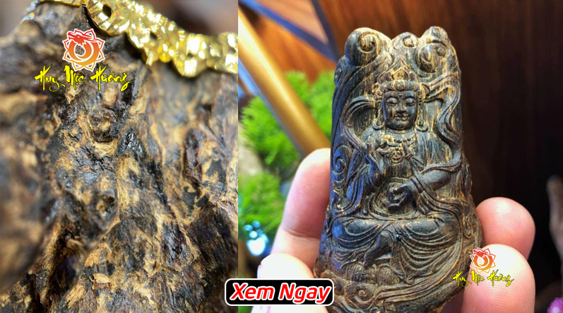 Kỳ nam là gì? giá kỳ nam bao nhiêu