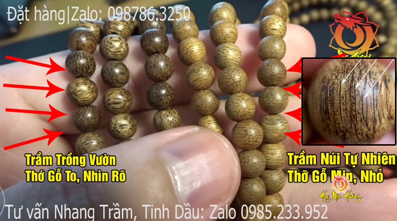 Phân biệt Trầm Hương Rừng và Trầm Hương Trồng qua hình ảnh