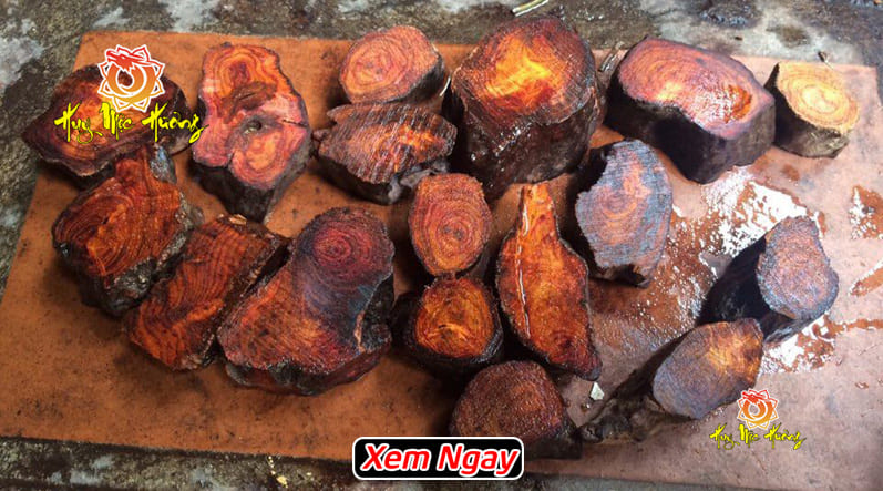 Vòng gỗ sưa đỏ hợp tuổi nào?