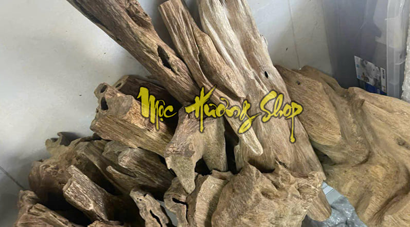 Gỗ trầm hương campuchia là gì?