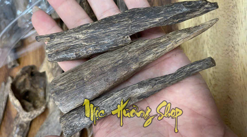 gỗ trầm hương philippines chìm nước