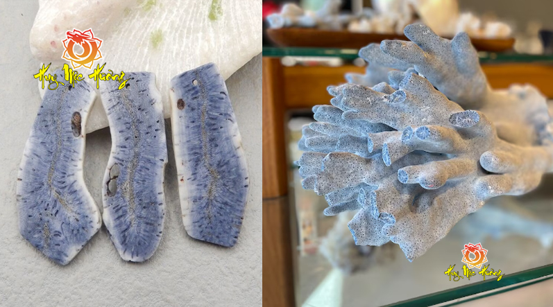 phôi san hô xanh tự nhiên