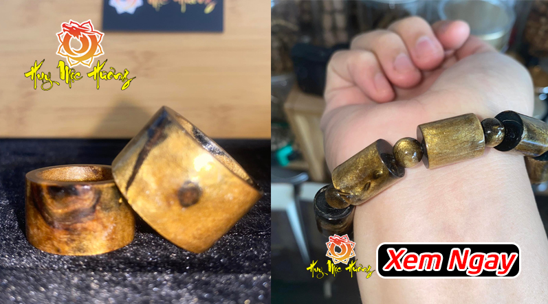 san hô vua là gì, giá bao nhiêu 1kg