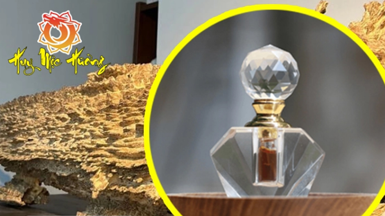 Tinh dầu trầm hương nguyên chất việt nam